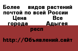 Более200 видов растений почтой по всей России › Цена ­ 100-500 - Все города  »    . Адыгея респ.